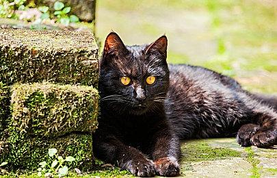 曝SIE正在开发多个《战神》游戏